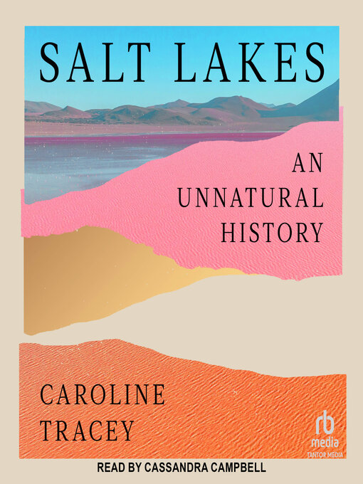 Cover image for Salt Lakes